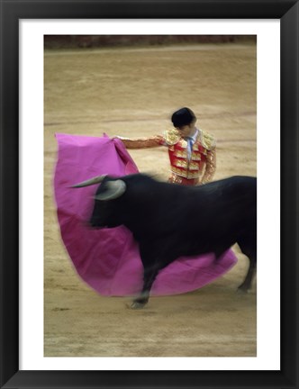 Framed matador and a bull at a Bullfight, Spain Print