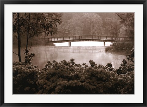 Framed Callaway Garden Azaleas Print