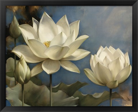 Framed Lotus I Print