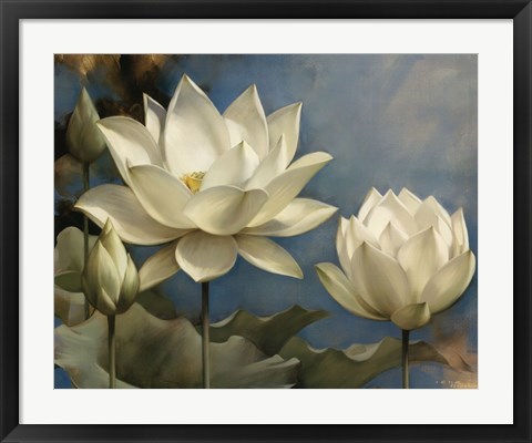 Framed Lotus I Print