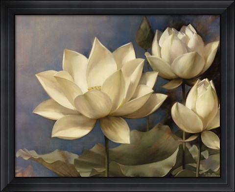 Framed Lotus II Print