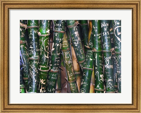 Framed Bamboo Graffiti Print