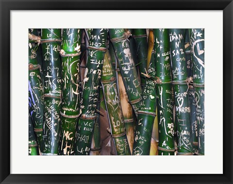 Framed Bamboo Graffiti Print