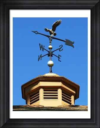 Framed Weathervane Print