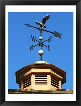 Framed Weathervane Print