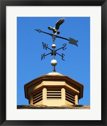 Framed Weathervane Print