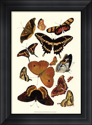 Framed Yellow Butterfly Study Print