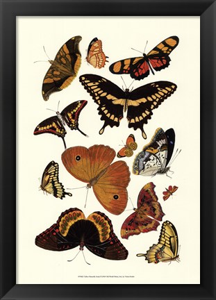 Framed Yellow Butterfly Study Print