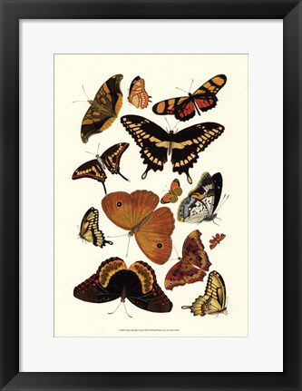 Framed Yellow Butterfly Study Print