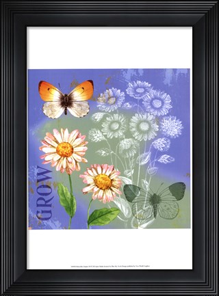Framed Butterflies Inspire III Print