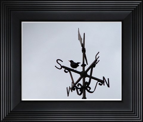 Framed Weathervane on the McKee Clock, Bangor Print