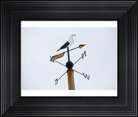 Framed Seagull Weathervane Print