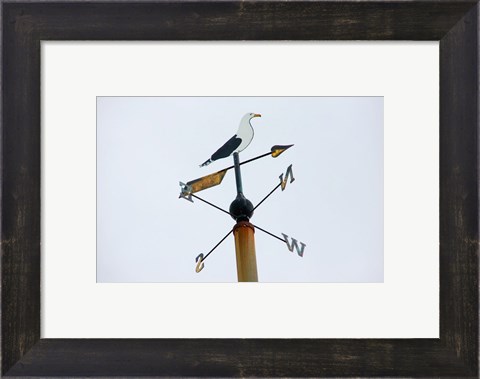 Framed Seagull Weathervane Print