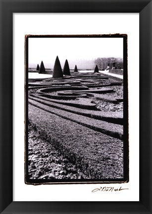 Framed Palace of Versailles Garden II Print