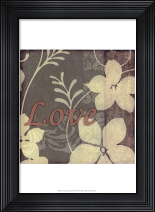 Framed Ornamental Inspiration IV Print