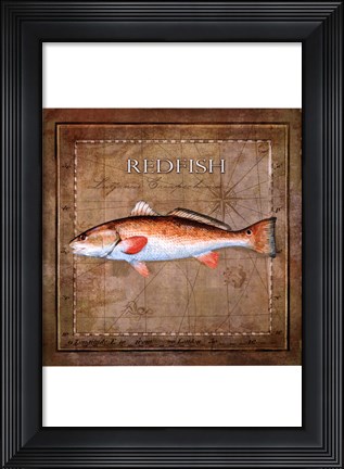 Framed Ocean Fish IX Print