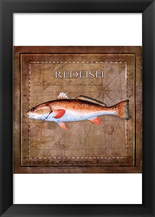 Framed Ocean Fish IX Print