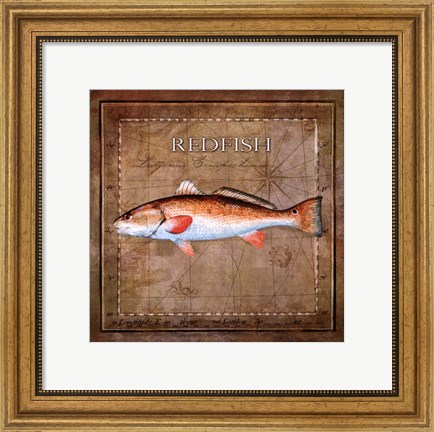 Framed Ocean Fish IX Print