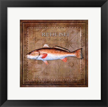 Framed Ocean Fish IX Print