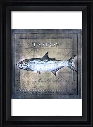 Framed Ocean Fish X Print