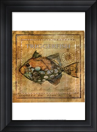 Framed Ocean Fish XI Print