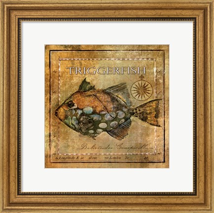 Framed Ocean Fish XI Print
