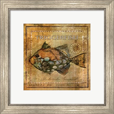 Framed Ocean Fish XI Print