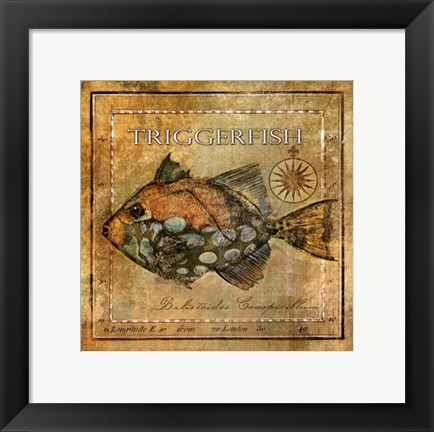 Framed Ocean Fish XI Print