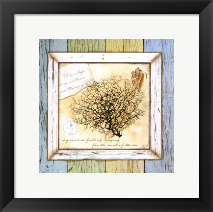 Framed Sea Treasures II Print