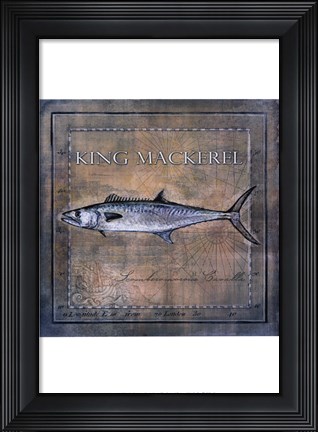 Framed Ocean Fish III Print
