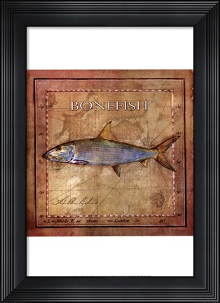 Framed Ocean Fish IV Print
