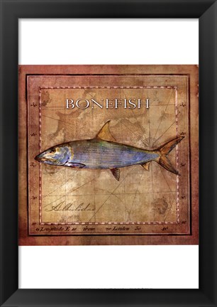 Framed Ocean Fish IV Print