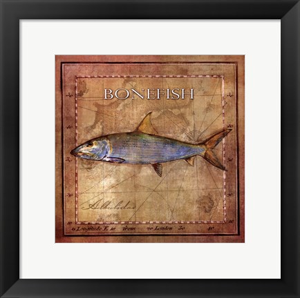 Framed Ocean Fish IV Print