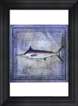 Framed Ocean Fish V Print