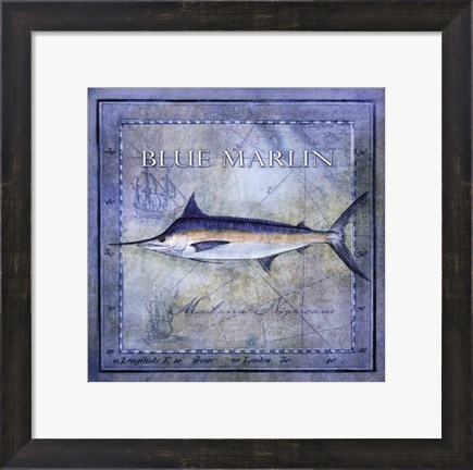 Framed Ocean Fish V Print