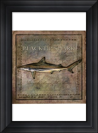 Framed Ocean Fish VI Print