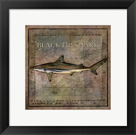 Framed Ocean Fish VI Print