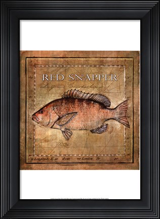 Framed Ocean Fish VII Print