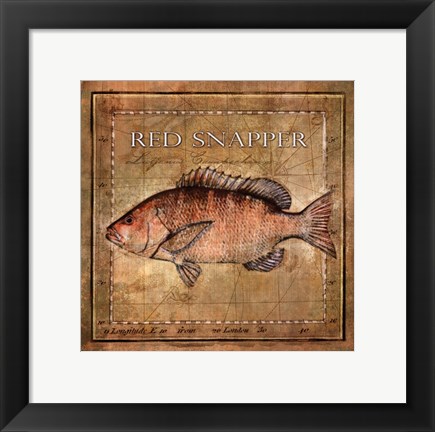 Framed Ocean Fish VII Print