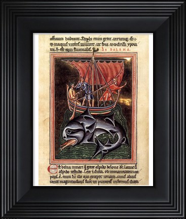 Framed 12th Century Painters - On Whales Folio from a Bestiary Print