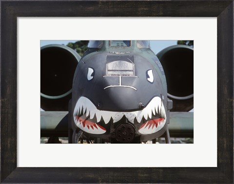 Framed Flying Tigers II Print