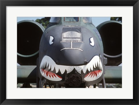 Framed Flying Tigers II Print