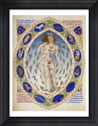 Framed Anatomical Man Print