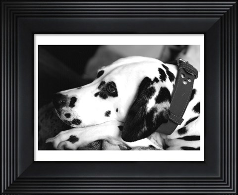 Framed Dog Tired Print