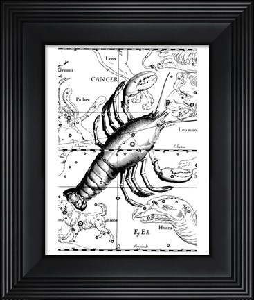 Framed Cancer Hevelius Print