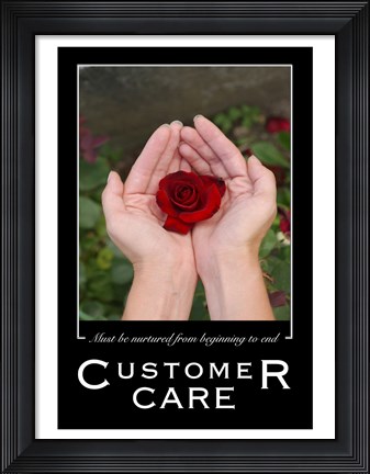 Framed Customer Care Affirmation Poster, USAF Print