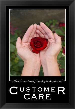 Framed Customer Care Affirmation Poster, USAF Print