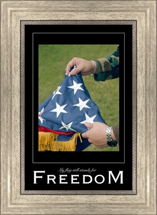 Framed Freedom Affirmation Poster, USAF Print