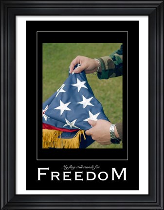 Framed Freedom Affirmation Poster, USAF Print