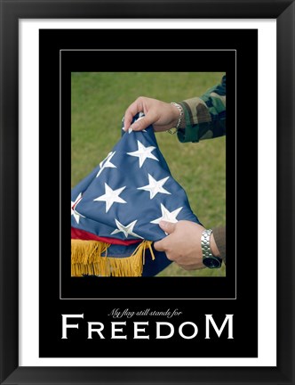 Framed Freedom Affirmation Poster, USAF Print